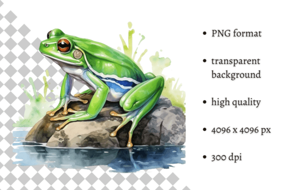Download Watercolor Frog Illustration - Frog illustration Collection