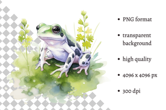 Download Watercolor Frog Illustration - Frog illustration Collection