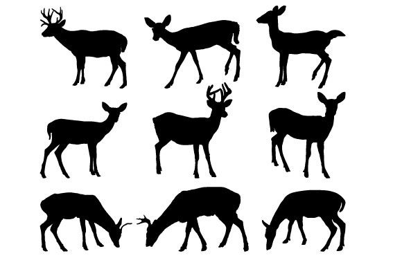 Download Key Deer Vector Graphic Design - Deer vector graphic Collection
