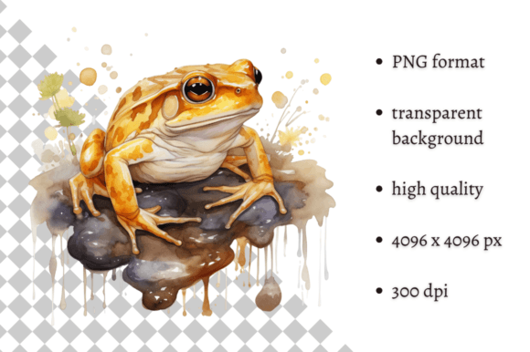Download Watercolor Frog Illustration - Frog illustration Collection