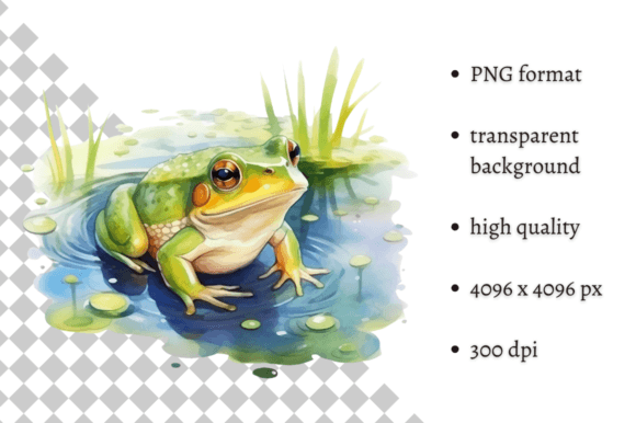 Download Watercolor Frog Illustration - Frog illustration Collection
